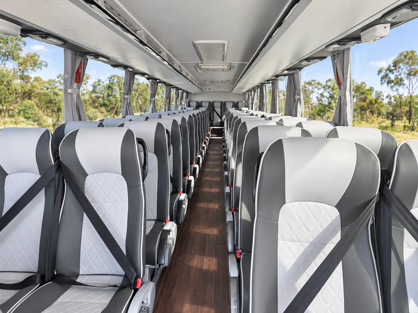 Bright ComfortLine coach interior with seat belts